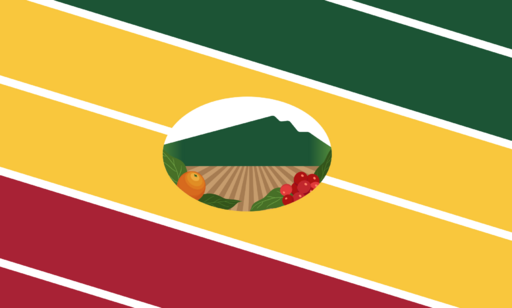 Nirgua Flag