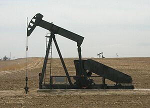 Archivo:Oil well pump jack, NE Colo (7632673158)