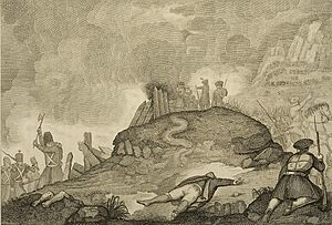 Ormaiztegiko borroka.jpg