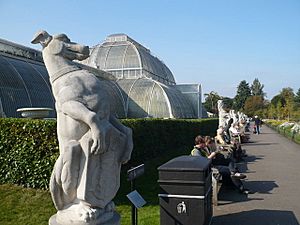 Archivo:Path to the Palm House, Kew Gardens - geograph.org.uk - 985531