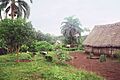 Paya in 1996