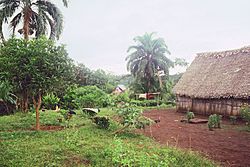 Paya in 1996.jpg