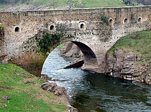 Archivo:Puente Viejo o Puente del Arrabal
