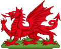 Red Dragon Badge of Wales
