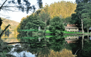 Archivo:Rio Tambre en Noia