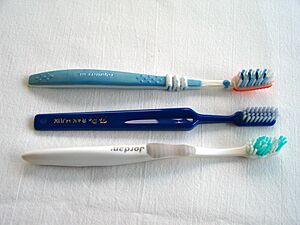 Archivo:Toothbrush x3 20050716 001