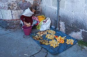 Archivo:Vendedora callejera de setas, Pachuca, México, 2013-10-10, DD 01
