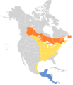 Vireo philadelphicus map
