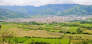 Archivo:Vista panorámica de Jaén