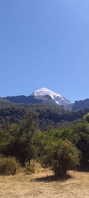 Archivo:Volcan Lanin- Paimun
