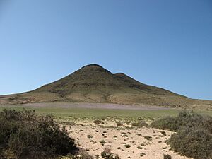 Archivo:Volcano Pink Field