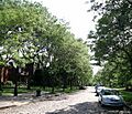 West Canfield Historic District 2 - Detroit Michigan