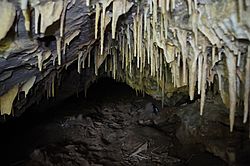 Пештера Слатински Извор (Порече) 08.jpg
