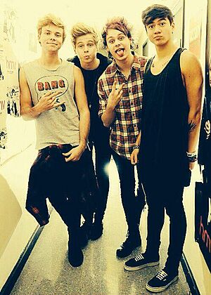 Archivo:5SOS (122)
