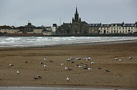 Archivo:Ardrossan-22-Kirche-Moewen-2009-gje