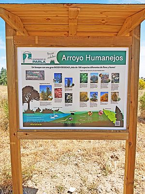 Archivo:B. Arroyo Humanejos flora y fauna