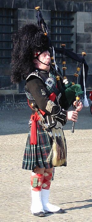 Archivo:Bagpipe performer