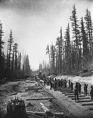 Archivo:Canadian Pacific Railway Crew at lower Fraser Valley (1881)