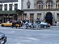Carroza de NYC-Carriege in New York City