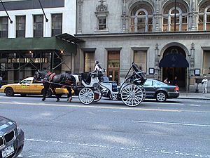 Archivo:Carroza de NYC-Carriege in New York City