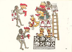 Archivo:Codex Magliabechiano (folio 88r)