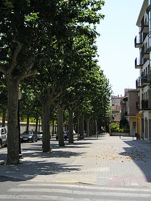 Archivo:Common street in Mataró