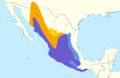 Cynanthus latirostris map