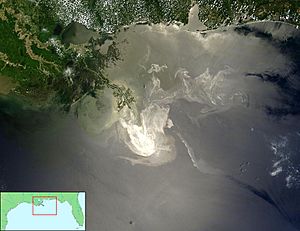 Archivo:Deepwater Horizon oil spill - May 24, 2010 - with locator