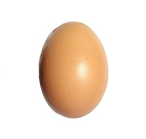 Archivo:Egg upright