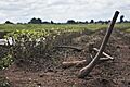 Farm tools, Malawi
