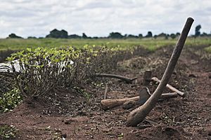 Archivo:Farm tools, Malawi