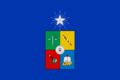 Flag of the University of Chile