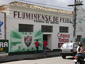 Archivo:Fluminensedefeira