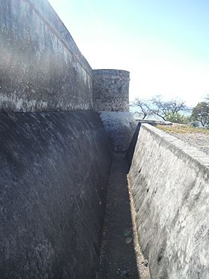Archivo:Fosa del fuerte de la Isla de Mezcala