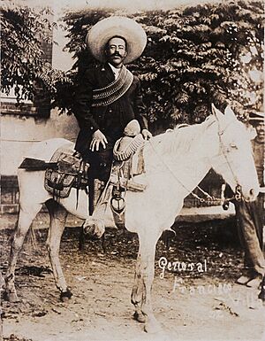 Archivo:General Francisco Villa (cropped)