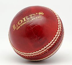Archivo:Grace match junior cricket ball