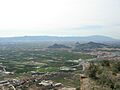 Huerta de Murcia1