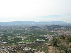 Archivo:Huerta de Murcia1