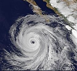 Archivo:Hurricane Ileana 2006GW