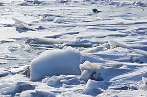 Archivo:Ice, Frozen Don River, Rostov-on-Don, Russia
