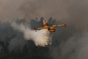 Archivo:Incendio forestal en Ponte Sampaio (28284900034)