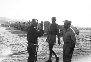 Archivo:Israeli and Egyptian Generals Meet in Sinai - Flickr - Israel Defense Forces