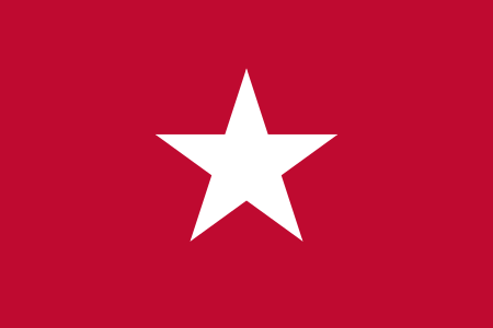 Jane Long Flag