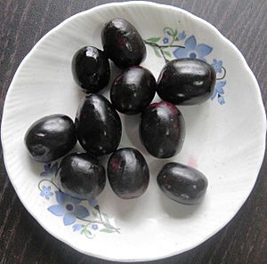 Archivo:Java plum (Syzygium cumini)