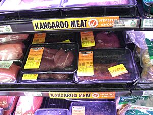 Archivo:Kangaroo meat supermarket