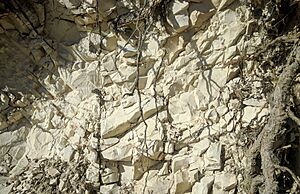 Archivo:Limestone Eocene deposit at Sinj Stari grad - Dalmatia - Croatia IMG 20210820 083857