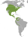 Long-tailed Weasel area