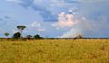Los llanos by Puerto Gaitan