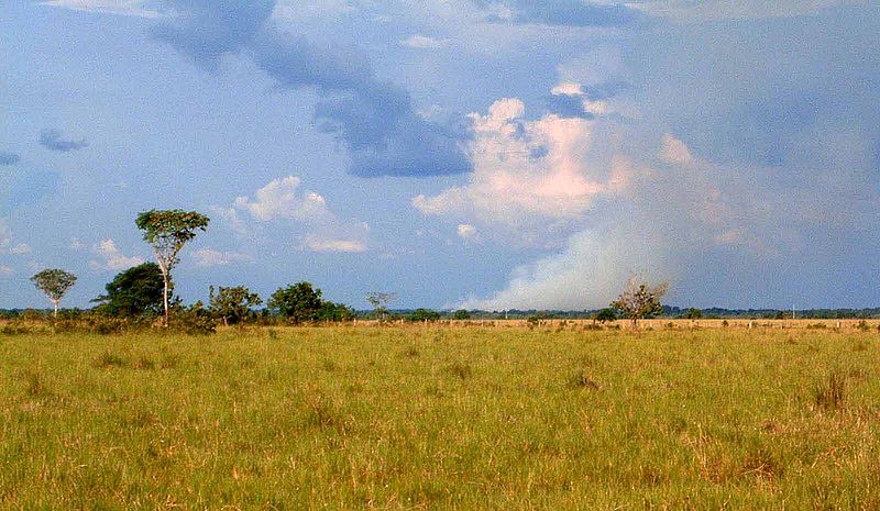 Los llanos by Puerto Gaitan