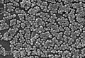 MRSA7820